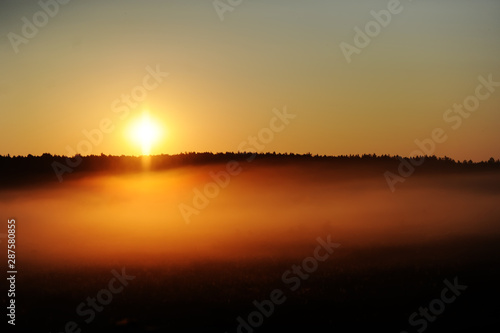 Foggy evening sunny field landscape.