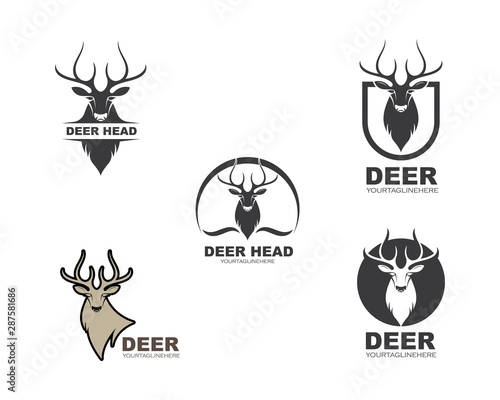 Deer ilustration logo vector