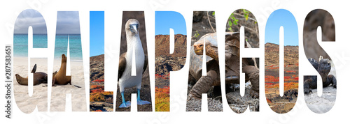 The Galapagos Islands letter concept  
