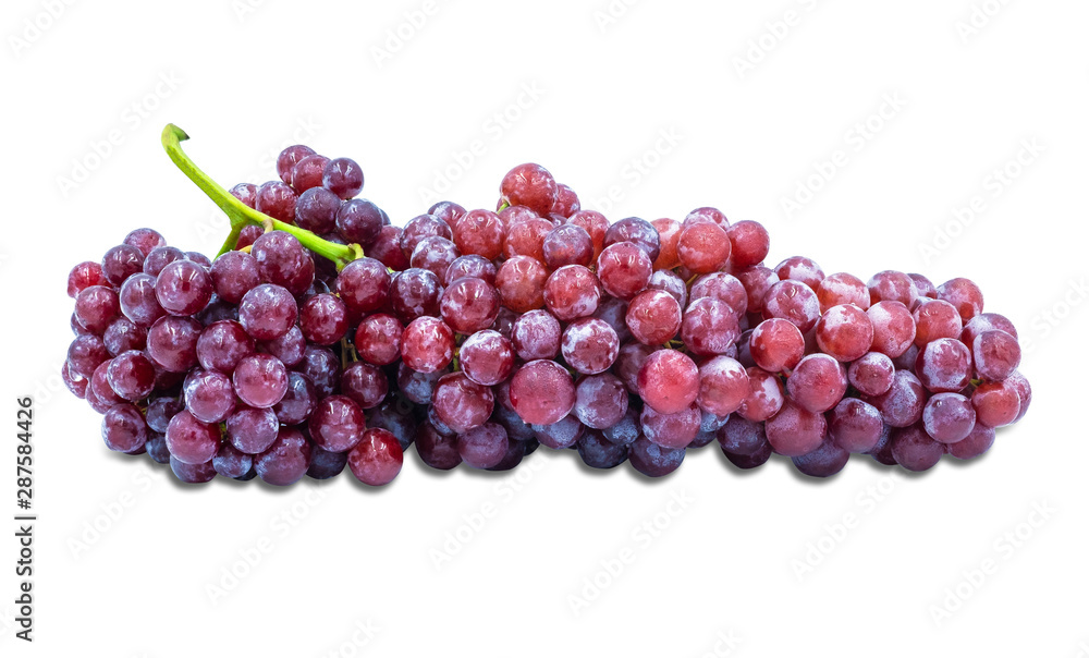 Fresh red grapes large bunch isolated with water drop on white background with clipping path. Fresh red grapes large bunch isolated with water drop on white background with clipping path.