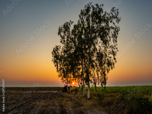 sunset at the abandoned plant