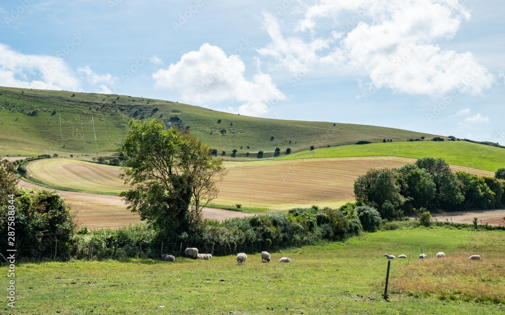 Fototapeta premium South downs and the Long Man of Wilmington, Sussex, England. A summer rural view over the Sussex countryside with the ancient landmark hill figure.