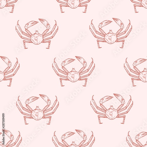 Sea crab vector seamless pattern. Underwater animal, hand drawn marine crayfish on pastel background. Restaurant seafood. Crustacean, sea creature with pincers wrapping paper, wallpaper textile design