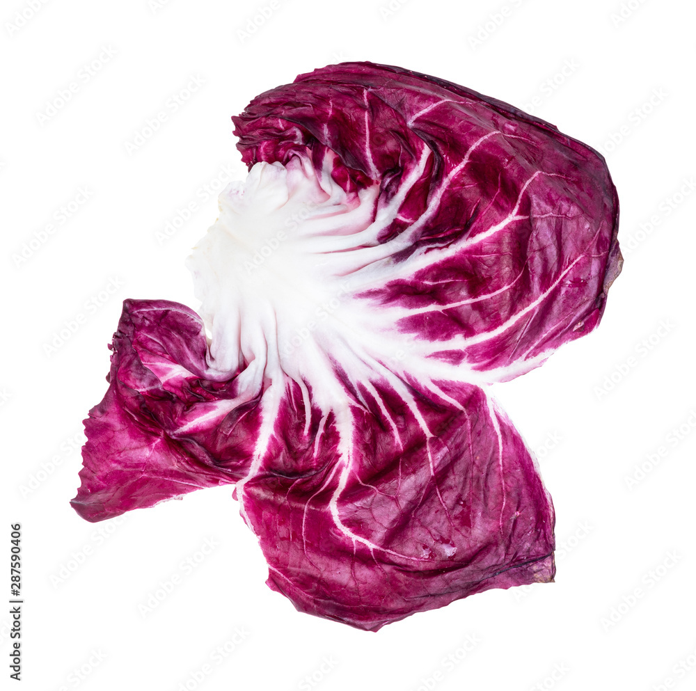 Obraz premium leaf of Radicchio (Italian leaf chicory) cutout