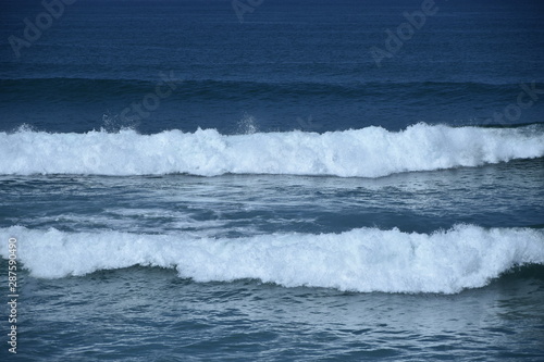 la vie est belle aux abords des mers