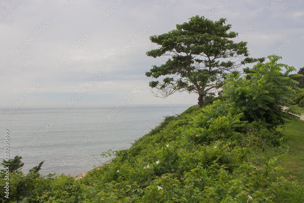 Cliff Walk