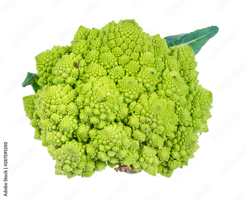 fresh romanesco broccoli cabbage cutout on white fresh romanesco broccoli cabbage cutout on white