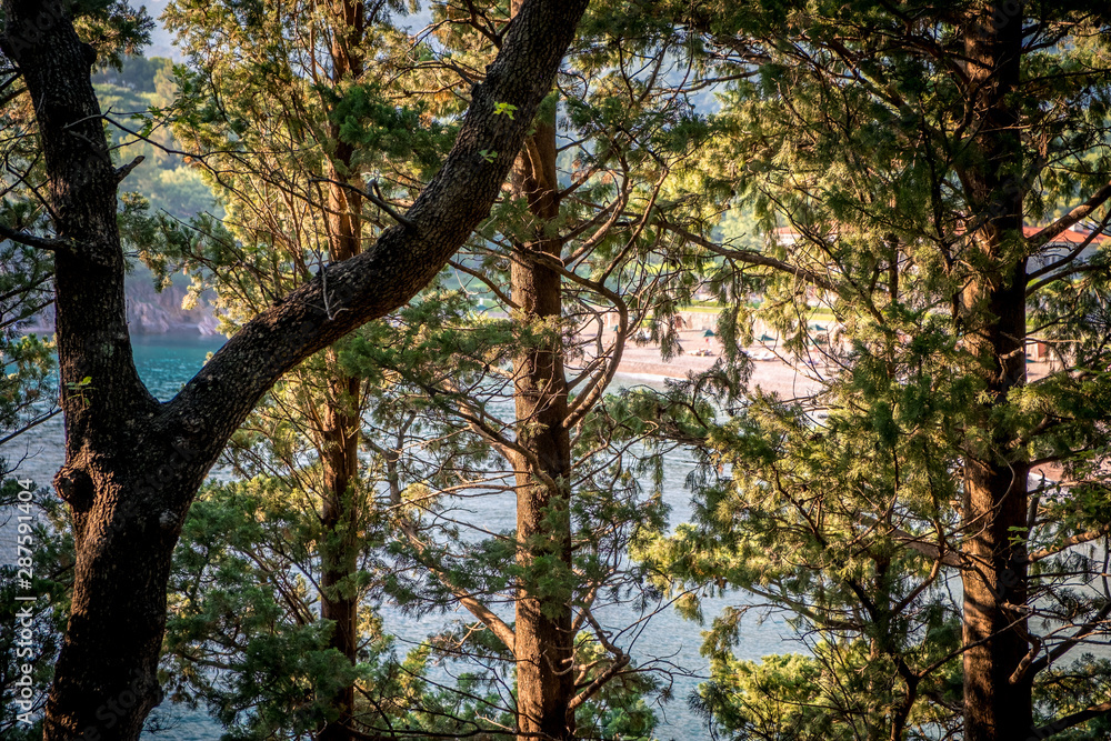 Blue sea with sun reflections trough the trees Blue sea with sun reflections trough the trees
