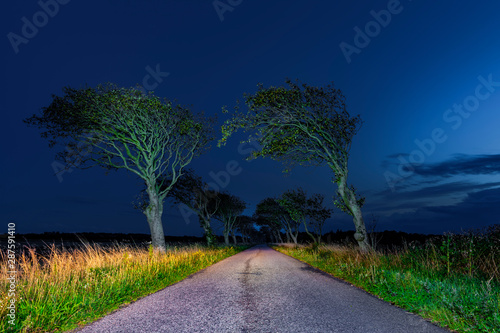 Alte Baumalle zur Blauen Stunde