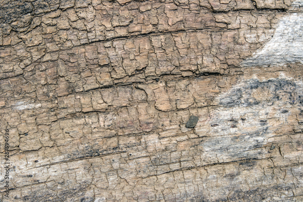 old wood texture old wood texture