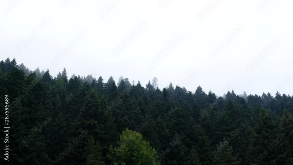 rain fog, wooded area and moving fog cloud, It closed, rain fog, wooded area and moving fog cloud, It closed,