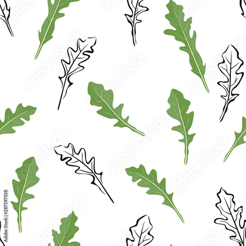 Arugula leaves seamless pattern on  white background. Vector illustration of fresh green leaves in cartoon flat style. and black and white outline.
