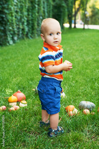 Thanksgiving baby boy. Happy kid with pumpkin. Halloween background. Bright autumn background. Colorful autumn card. Thanksgiving Family. Child and pumpkins in park. Autumn Harvest. Autumn picnic © Aleksandr