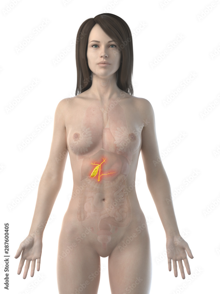 Naklejka premium 3d rendered illustration of an inflamed gallbladder