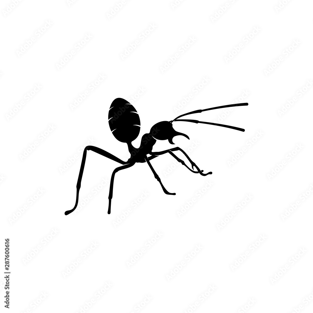 Fototapeta premium Ant Vector Design Logo. Ant Illustration With Various Shapes and Different movements