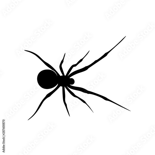 Spiders Vector Design Logo. Spiders Illustration With Various Shapes and Different movements © shuttersport