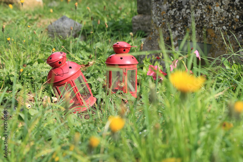 Red lantern on the ground as garden decorate with yellow flowers as blurred foreground. © enrouteksm