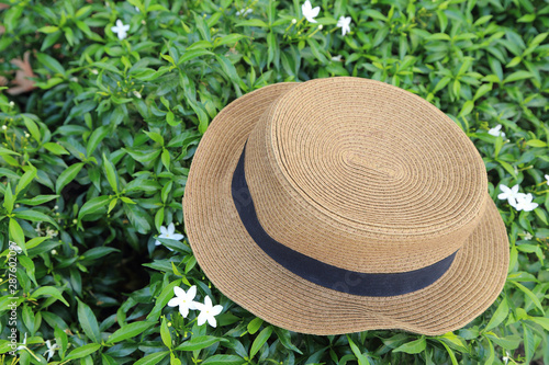 A straw panama style hat on green plant background.