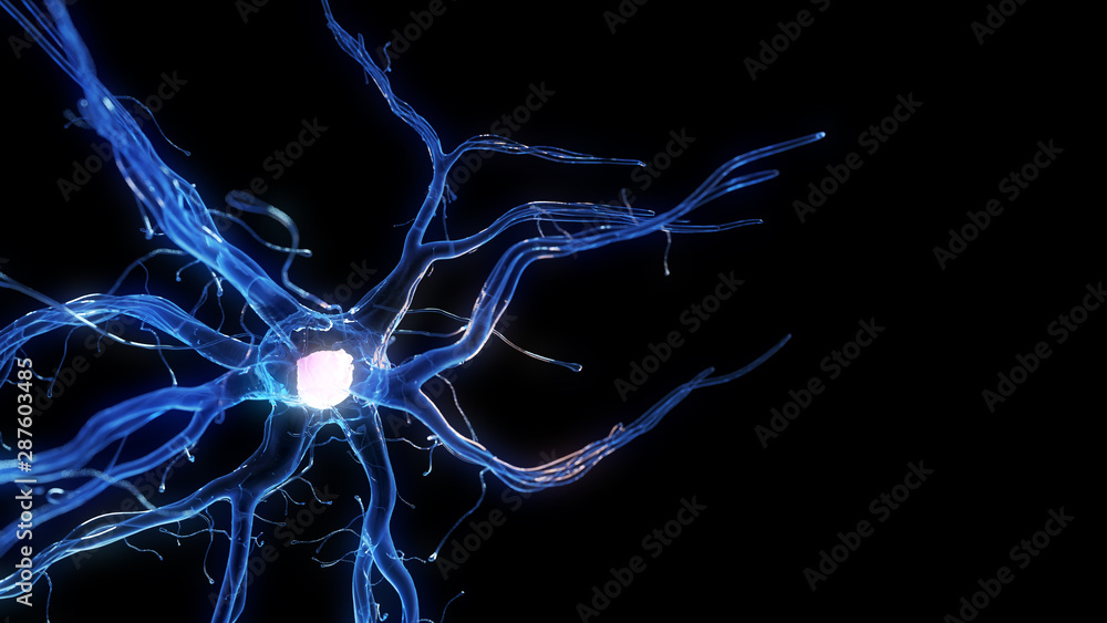 3d rendered illustration of a human nerve cell 3d rendered illustration of a human nerve cell