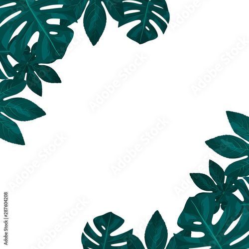 Hand drawn tropical frame with jungle leaves. Monstera and aralia palm leaf border for invitation card. Vector isolated illustration.