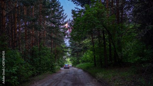 Dirt road and car through the forest in the evening