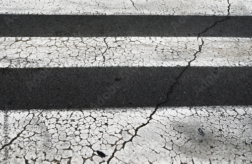 Wallpaper Mural Paso de Cebra Torontodigital.ca