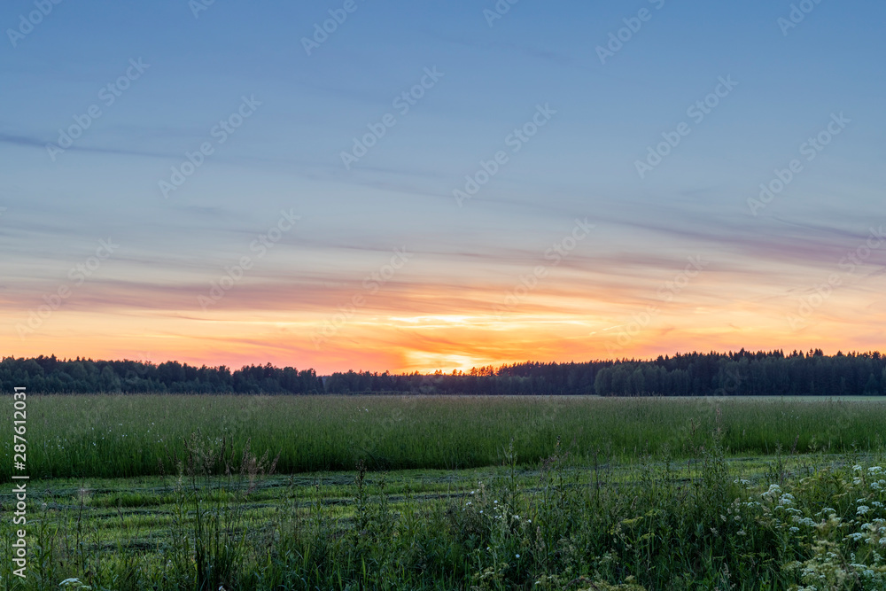 Colorful fiery purple sunset over the forest and field with a strip of mown grass. Beautiful evening landscape