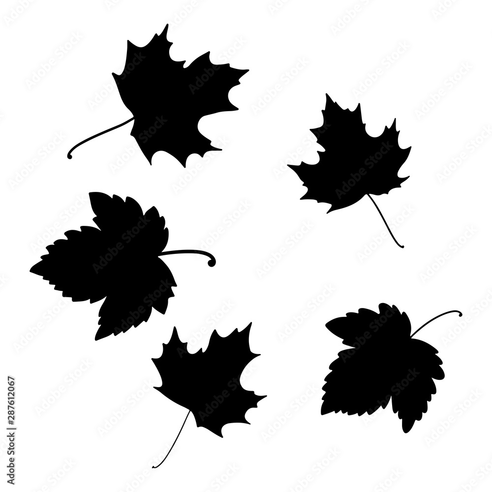 Naklejka premium Isolated leaves on the white background. leaves silhouettes. Vector EPS 10.