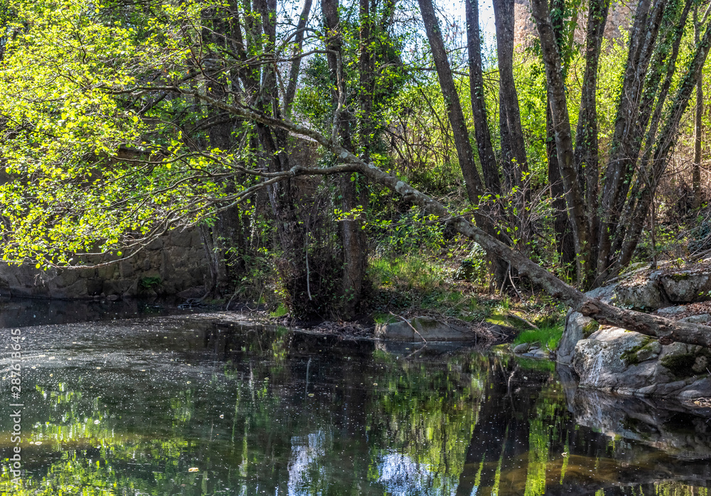 Rio Arenal en primavera. Avila. España. Europa. Rio Arenal en primavera. Avila. España. Europa.