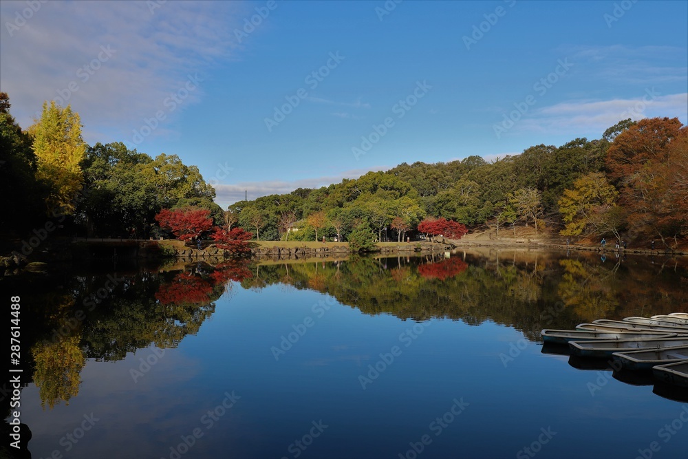 Obraz premium 奈良公園の紅葉