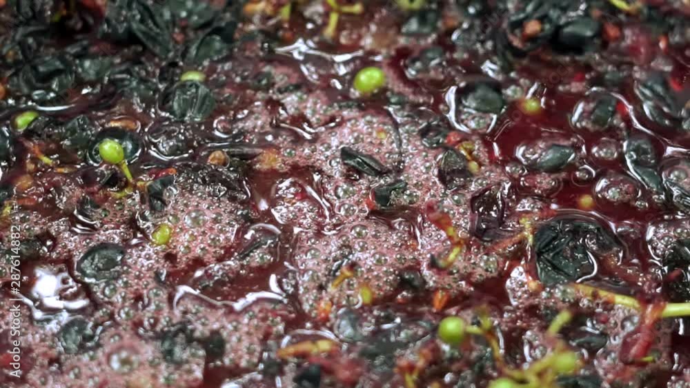 crushed grapes closeup manufacture of wine