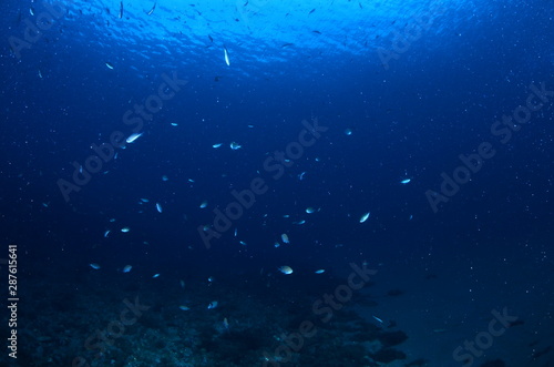  acuático piscina azul mar con textura natación verano claro oceáno abstracta recubrir turquesa dechado mecer olas aseado liquida diáfano mojado mecer olas acuático naturaleza alumbrado © samuelhuelin