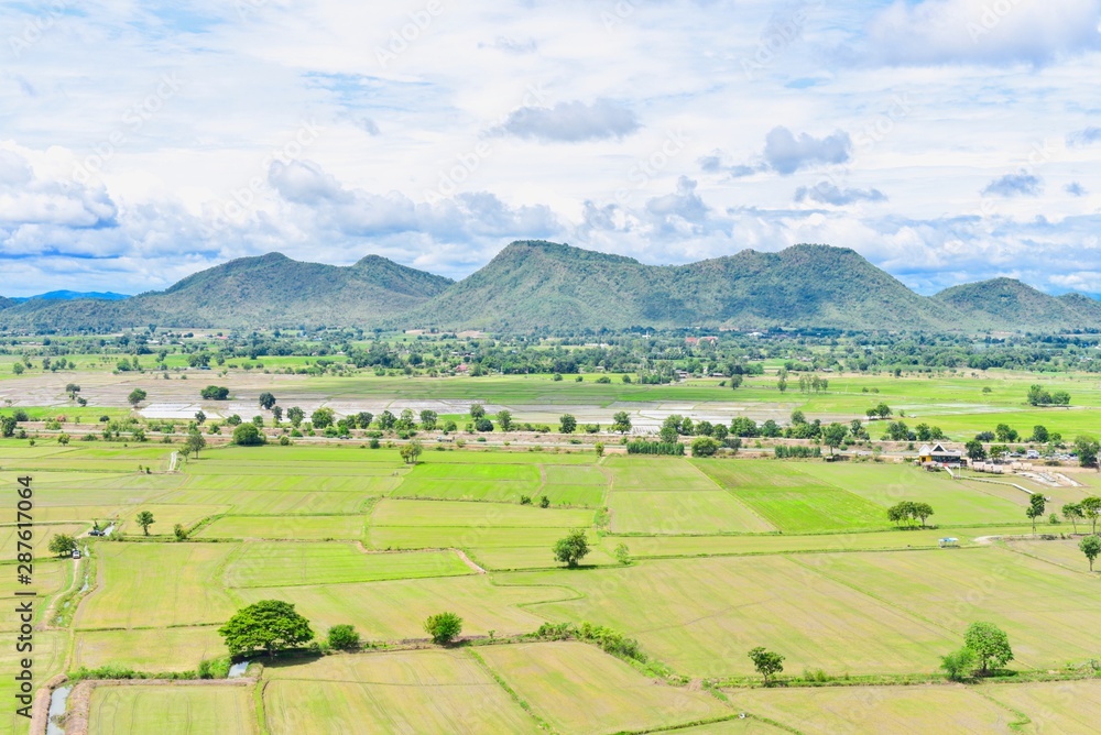 Landscape of Rice Paddy Fields in Kanchanaburi, Thailand