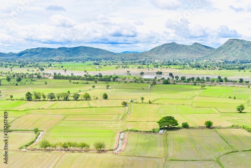 Aerial View of Rice Paddy Fields in Countryside of Thailand