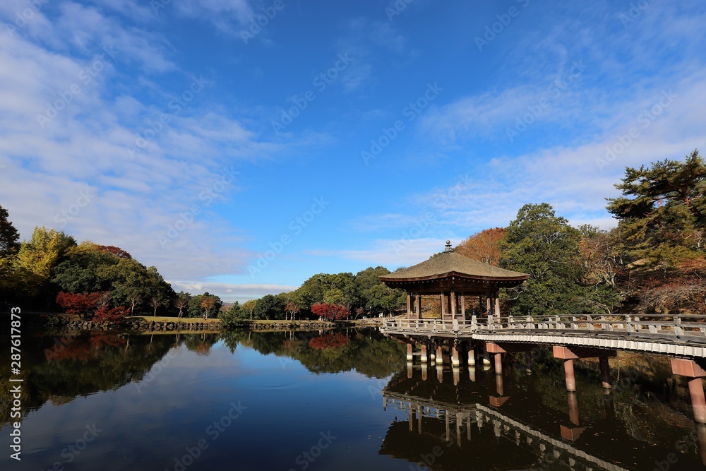 Fototapeta premium 奈良公園の紅葉