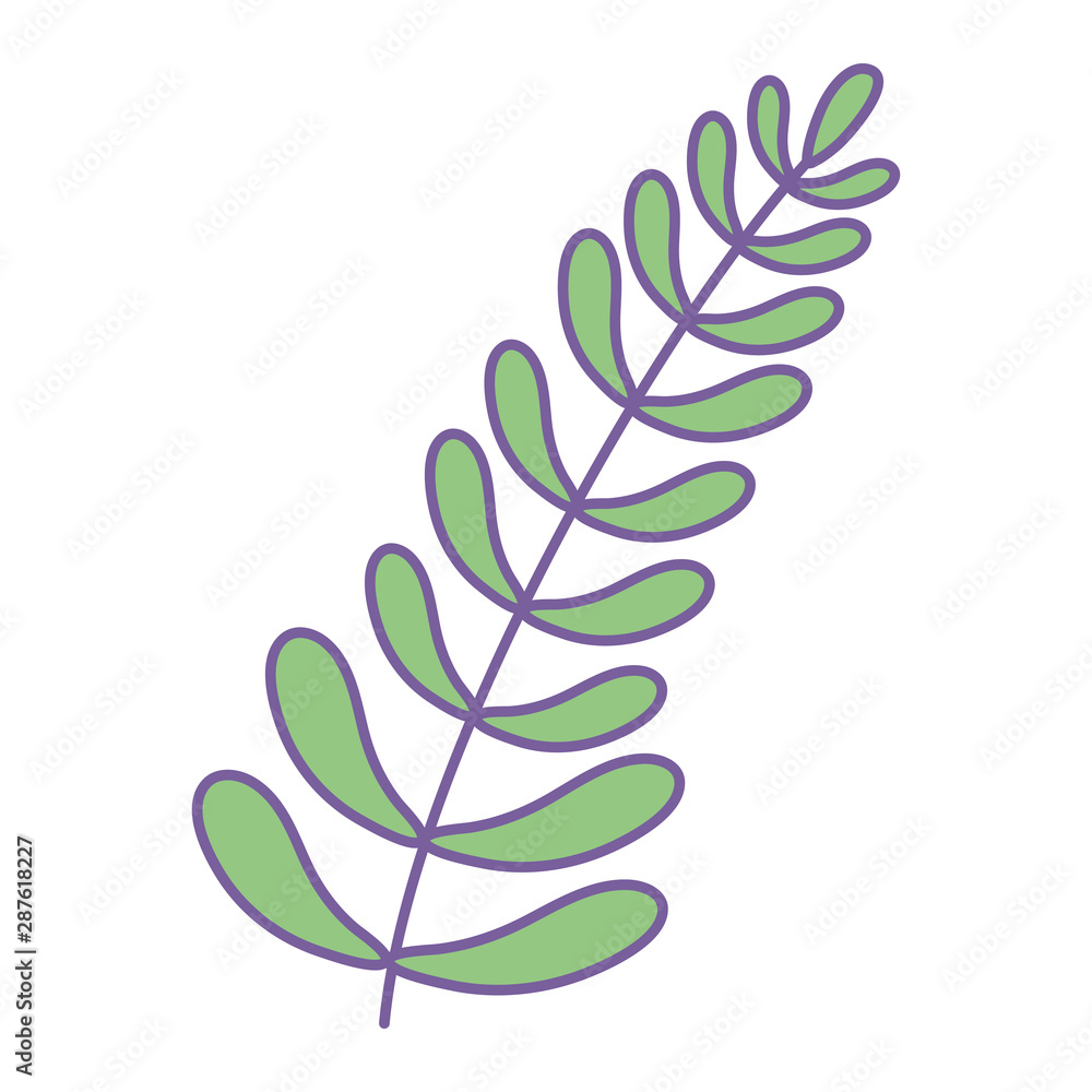 Isolated leaves design vector illustration Isolated leaves design vector illustration