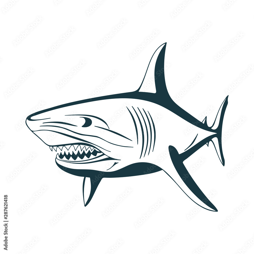 Shark. Sharks hand drawn vector illustrations set. Sketch drawing