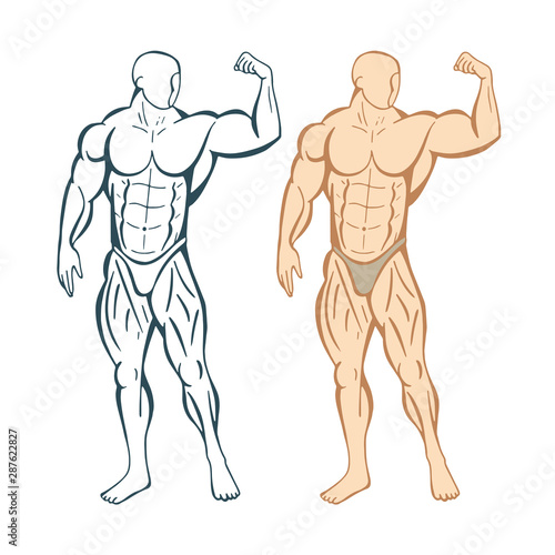 Strong man. Strong bodybuilder hand drawn vector illustration. Muscular man. Part of set.