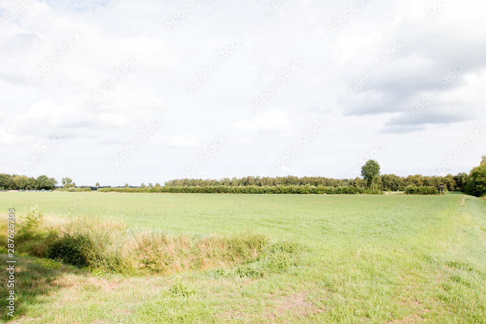 blick auf eine angrenzende wiese im moor in Herzlake emsland deutschland fotografiert beim gang durch das moor an einem sonnigen tag