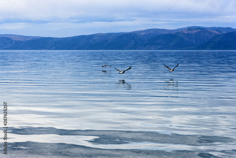 Fototapeta premium Lake Baikal and mountains of Siberia with beautiful sky, clouds and seagulls with reflection, Russia Oklhon island
