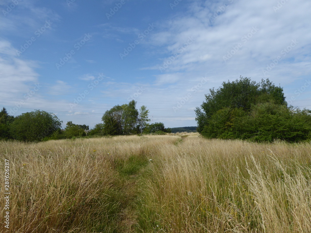 Obraz premium Wildlandschaft