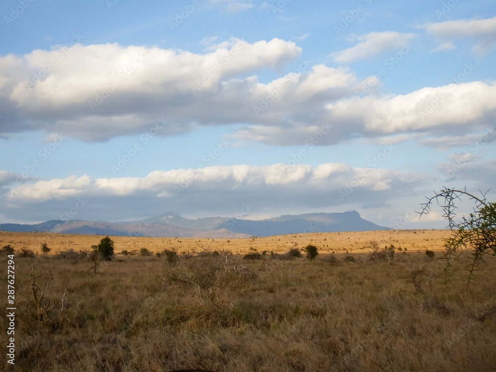 Savannenlandschaft in Tsavo Ost Kenia