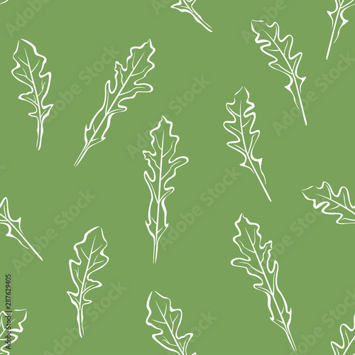 Arugula on a green background seamless pattern. Simple print drawn by lines. Vector illustration.