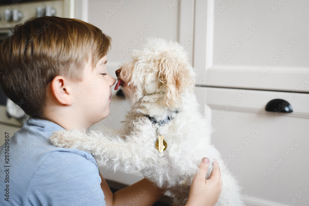 Boy playing with his dog at home Boy playing with his dog at home