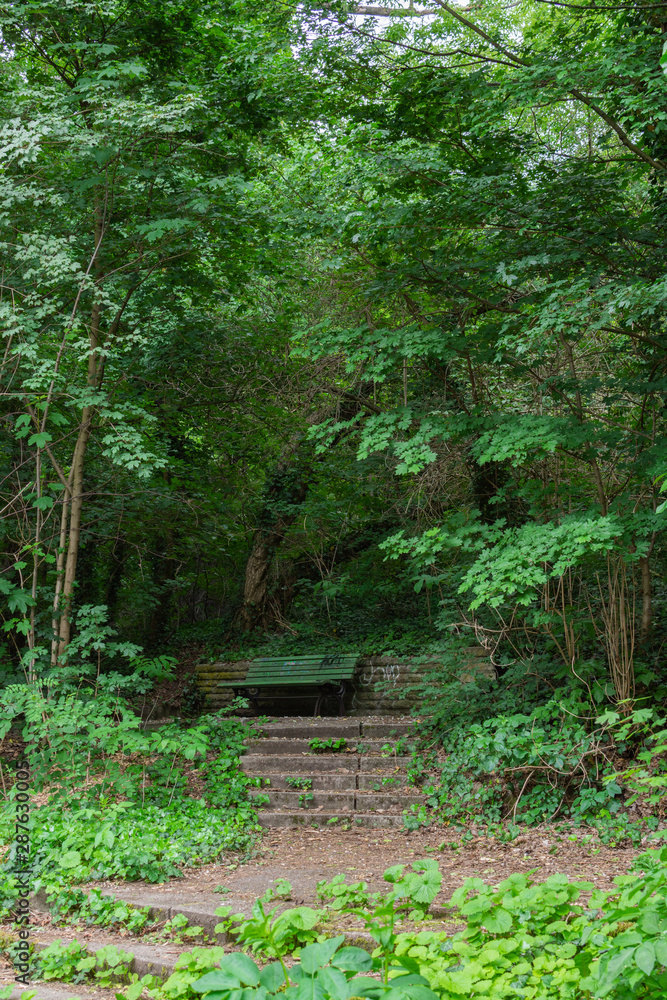 Obraz premium Cozy paths in the park Volkspark Prenzlauer Berg , old wooden benches