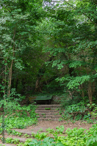 Cozy paths in the park Volkspark Prenzlauer Berg   old wooden benches