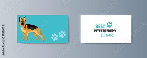 Set of brochures kit for pet purchase advertising