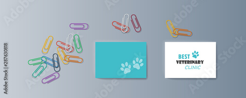 Set of brochures kit for pet purchase advertising