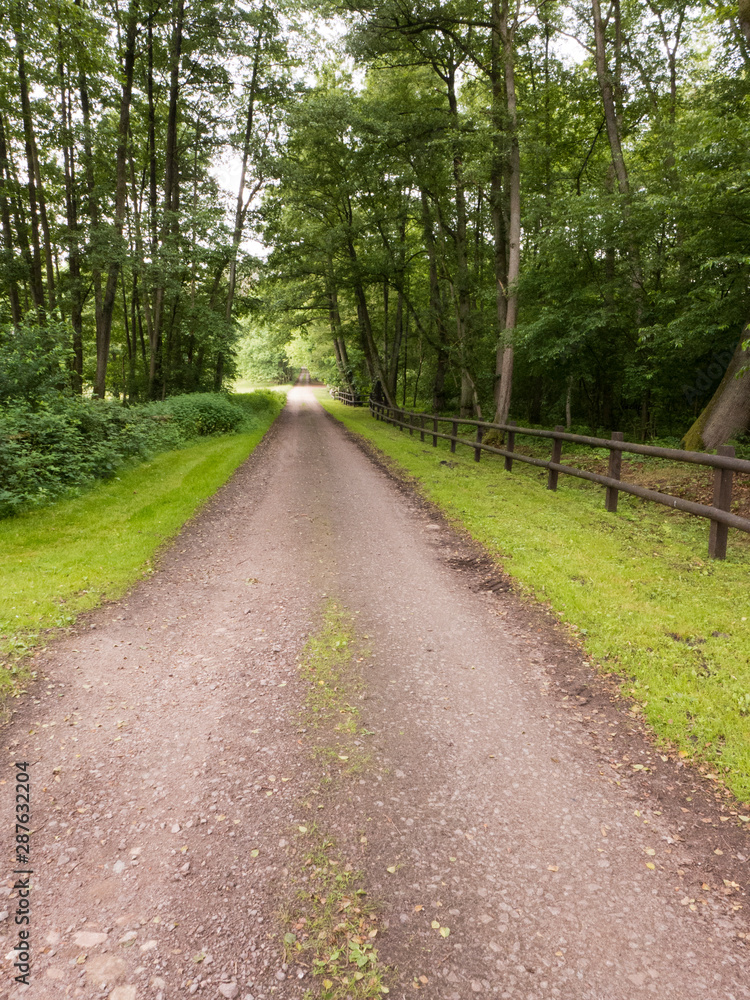 Schmale Straße durch den Ortsteil Wesel bei Undeloh in der Lüneburger Heide, Deutschland Schmale Straße durch den Ortsteil Wesel bei Undeloh in der Lüneburger Heide, Deutschland