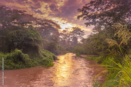Sunrise view of Ishasha river, with trees growing and the reflections on the water, Queen Elizabeth National Park, Ishasha, Uganda, Africa